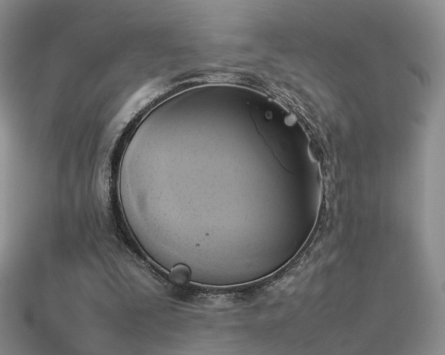 X0000114150295200910151550