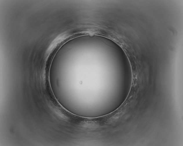 X0000114150296200910151550