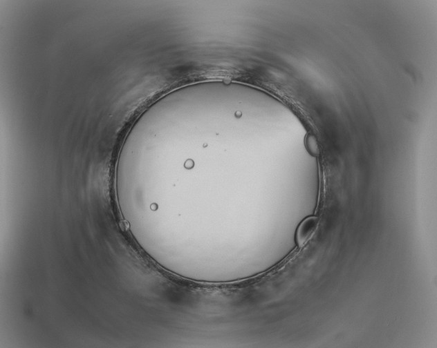 X0000114150297200910151550