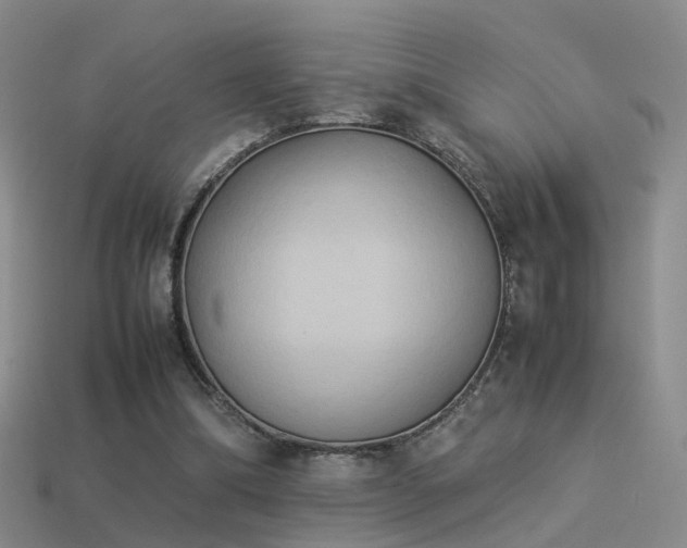 X0000114150298200910151550