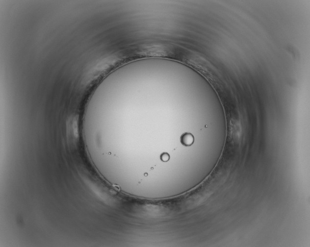 X0000114150302200910151550