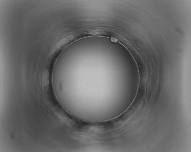 X0000114150303200910151550