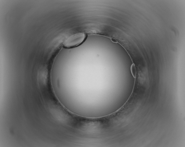 X0000114150304200910151550