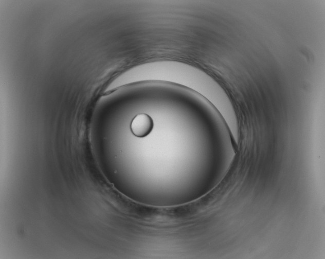 X0000114150308200910151550