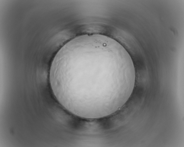 X0000114150309200910151550