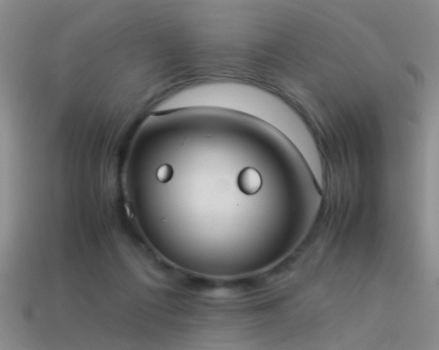 X0000114150312200910151550