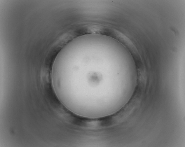 X0000114150313200910151550