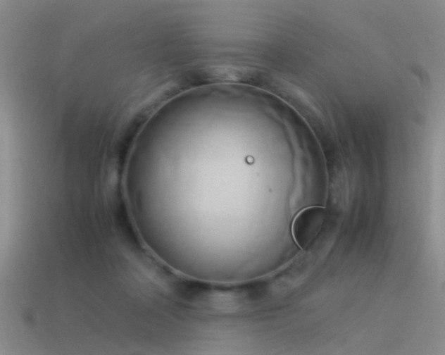 X0000114150314200910151550