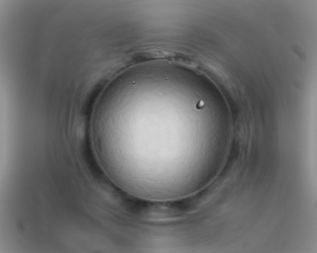 X0000114150315200910151550