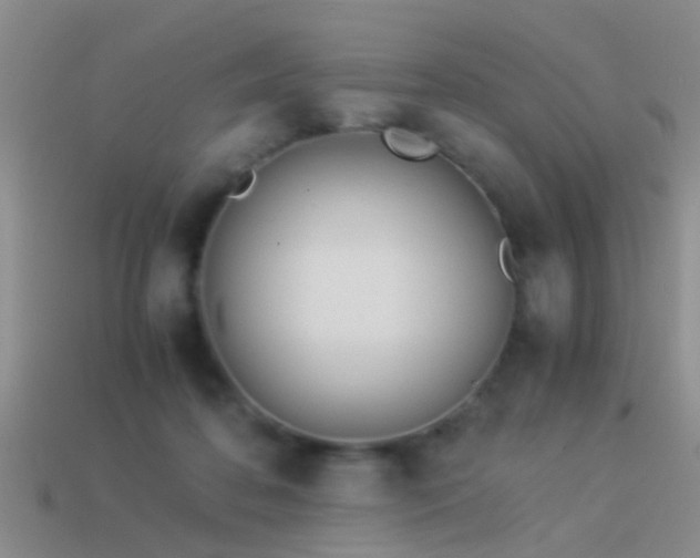 X0000114150316200910151550