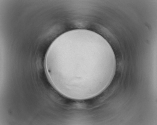 X0000114150317200910151550