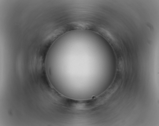 X0000114150318200910151550