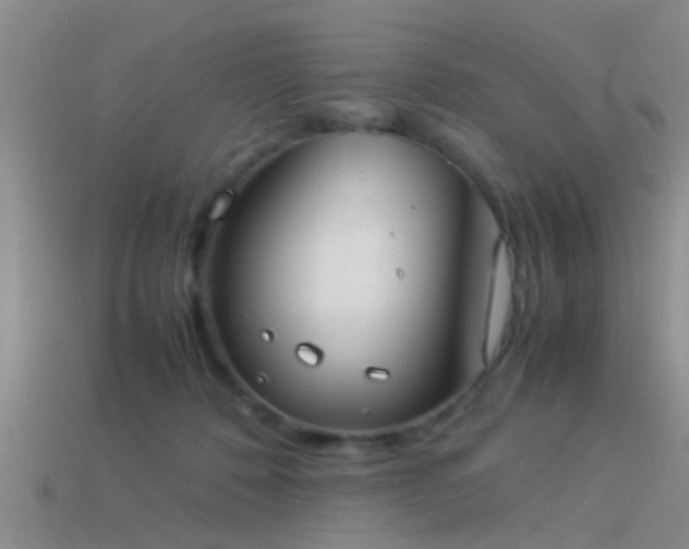 X0000114150320200910151550