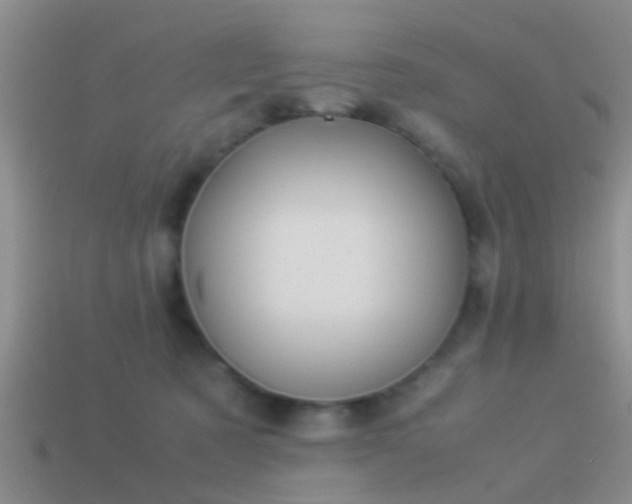 X0000114150321200910151550