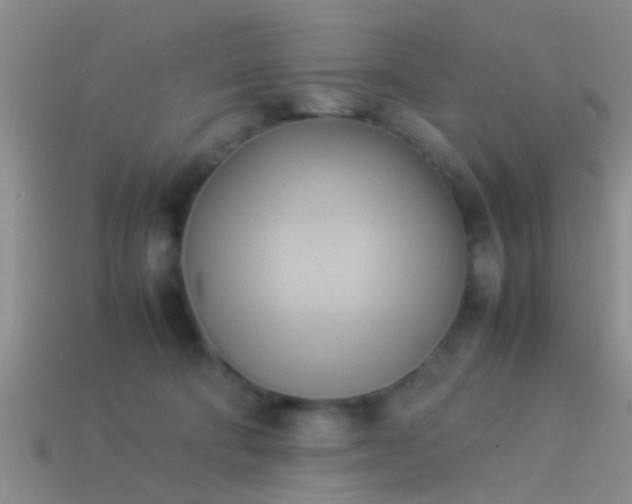 X0000114150322200910151550