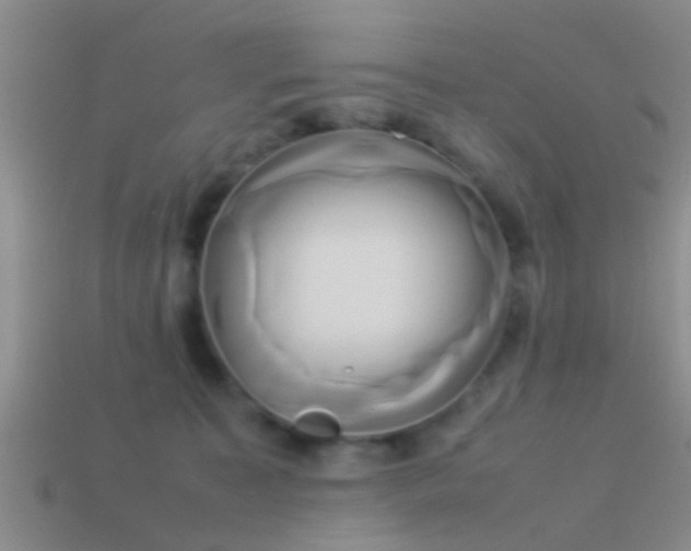 X0000114150323200910151550