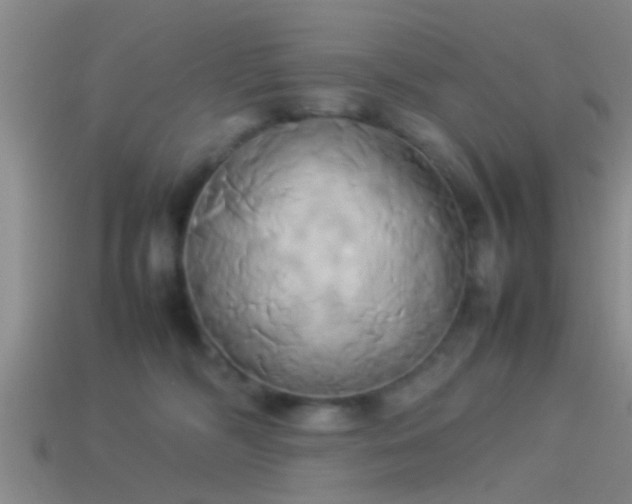 X0000114150326200910151550