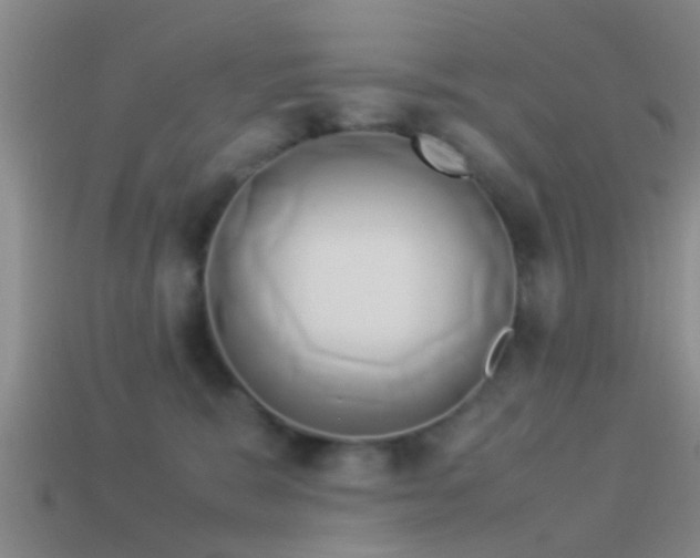 X0000114150327200910151550