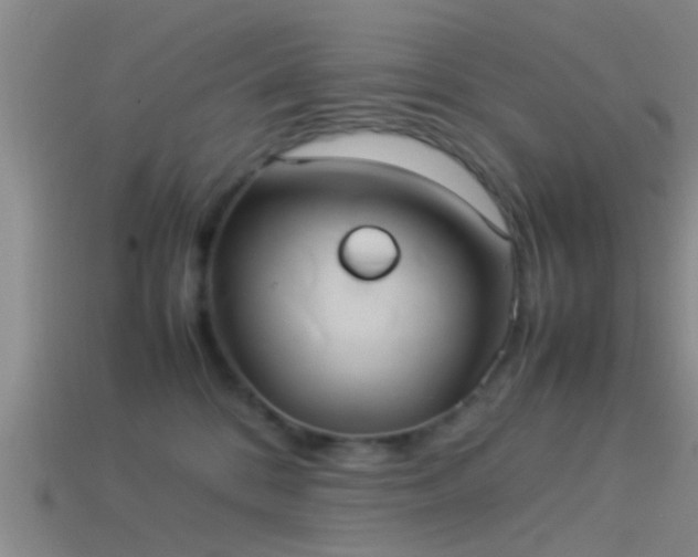 X0000114150328200910151550