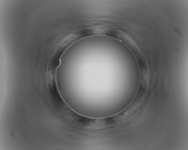 X0000114150329200910151550