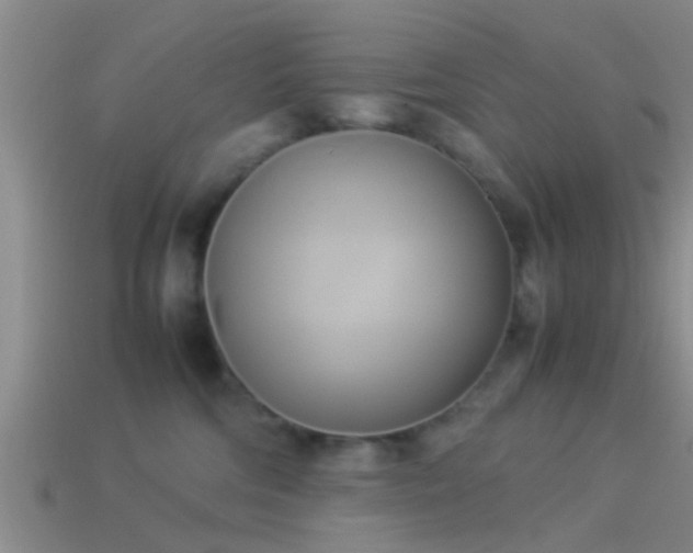 X0000114150330200910151550