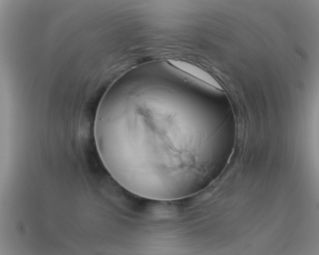 X0000114150331200910151550