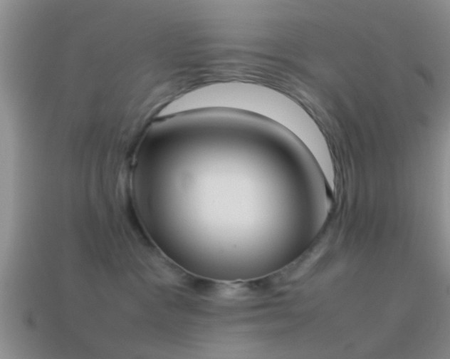 X0000114150333200910151550