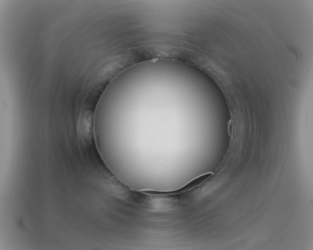 X0000114150336200910151550