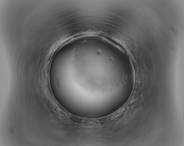 X0000114150337200910151549