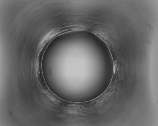 X0000114150339200910151549