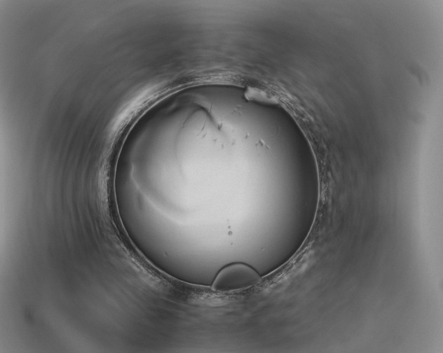 X0000114150341200910151549