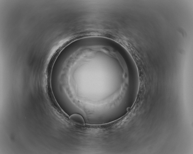 X0000114150342200910151549