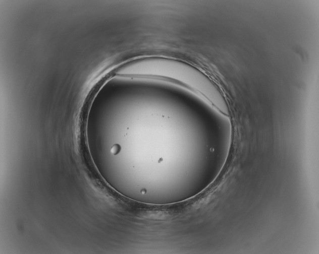 X0000114150344200910151549