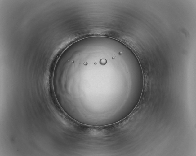 X0000114150346200910151549
