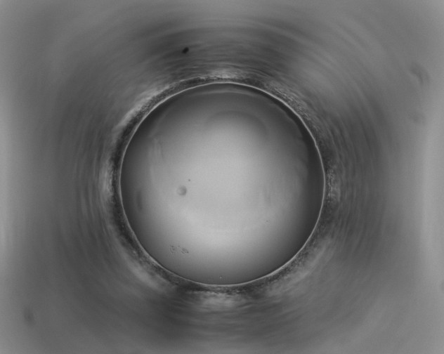 X0000114150347200910151549