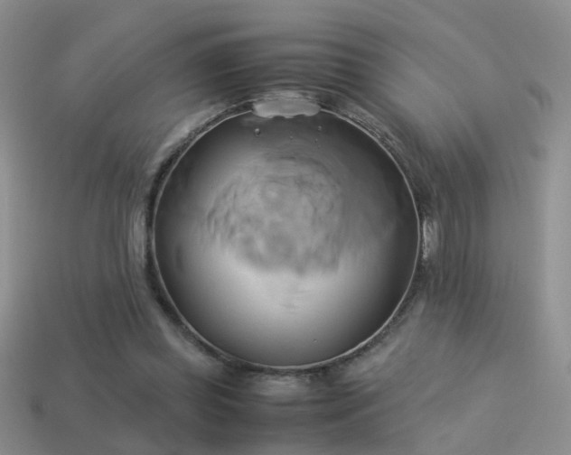X0000114150349200910151549