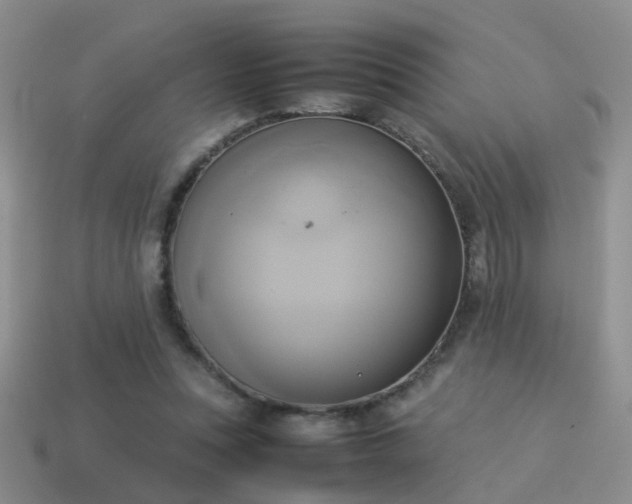X0000114150351200910151549