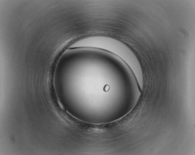 X0000114150352200910151549