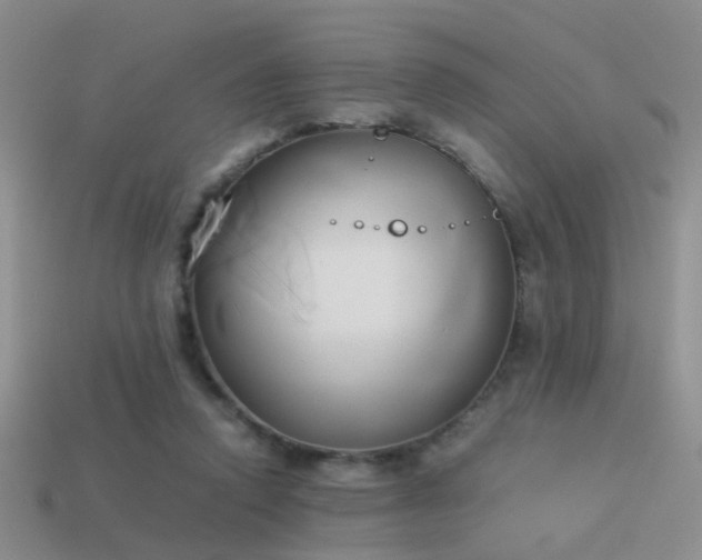 X0000114150354200910151549