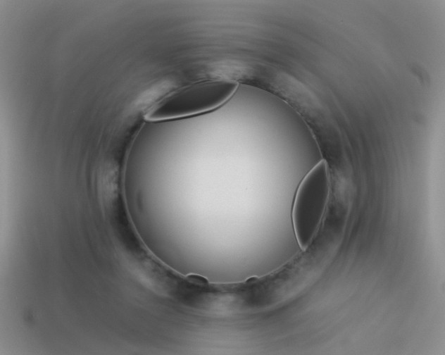 X0000114150356200910151549