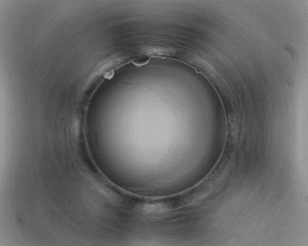 X0000114150357200910151549