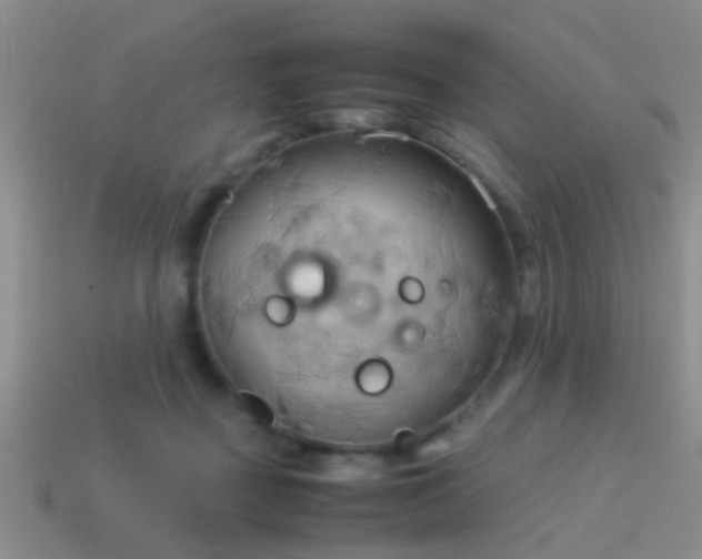 X0000114150363200910151549