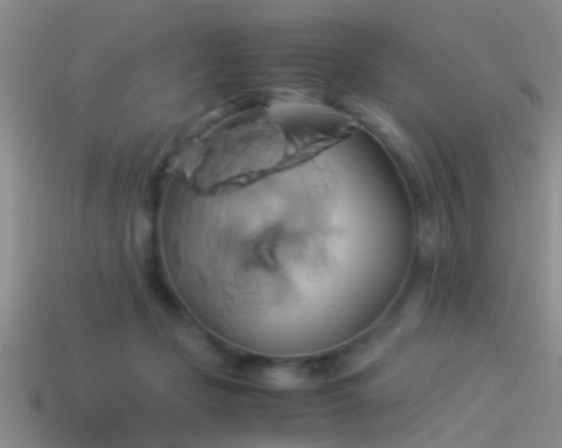 X0000114150365200910151549