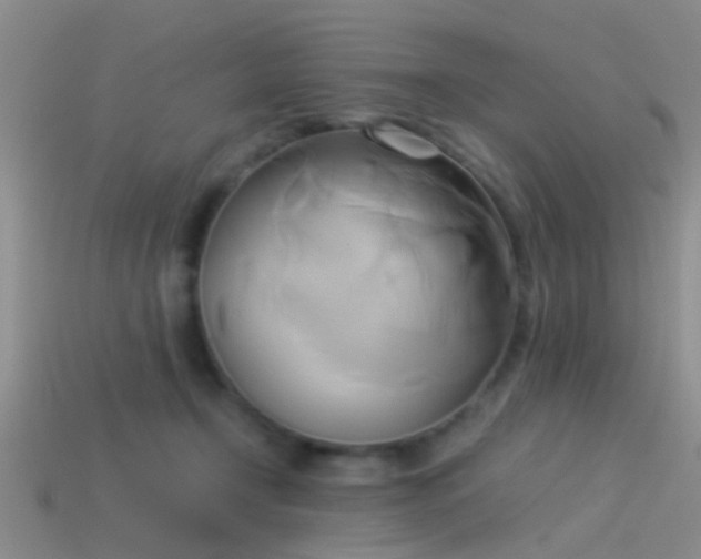 X0000114150366200910151549