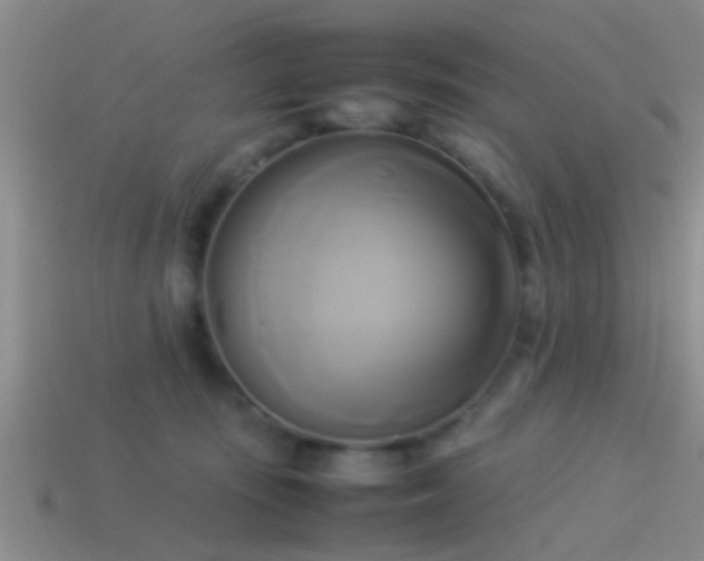 X0000114150371200910151549