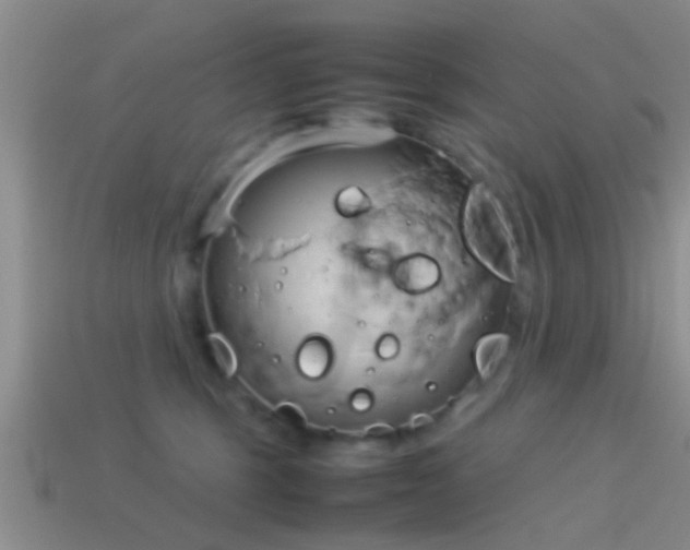 X0000114150375200910151549