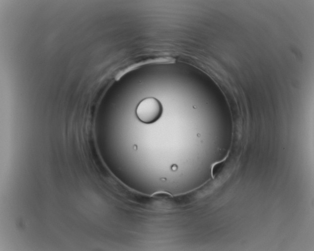 X0000114150376200910151549