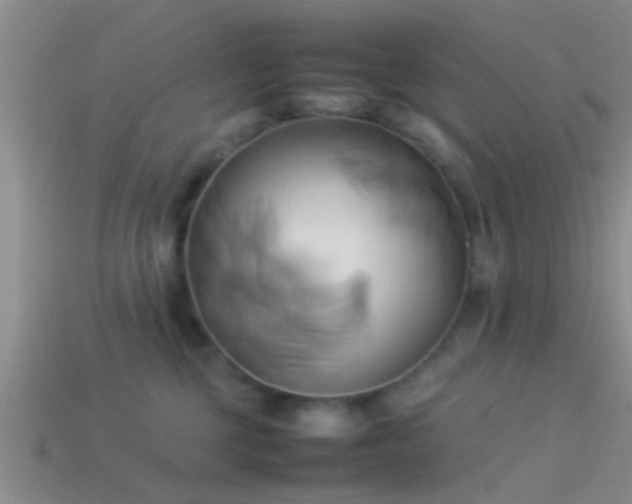 X0000114150377200910151549