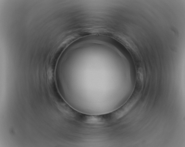 X0000114150380200910151549
