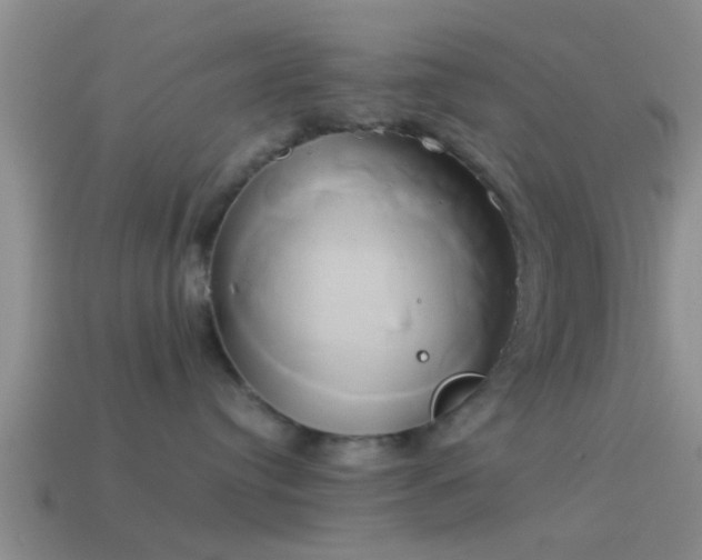 X0000114150384200910151550